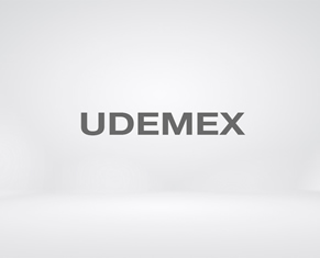 Aulas Virtuales UDEMEX